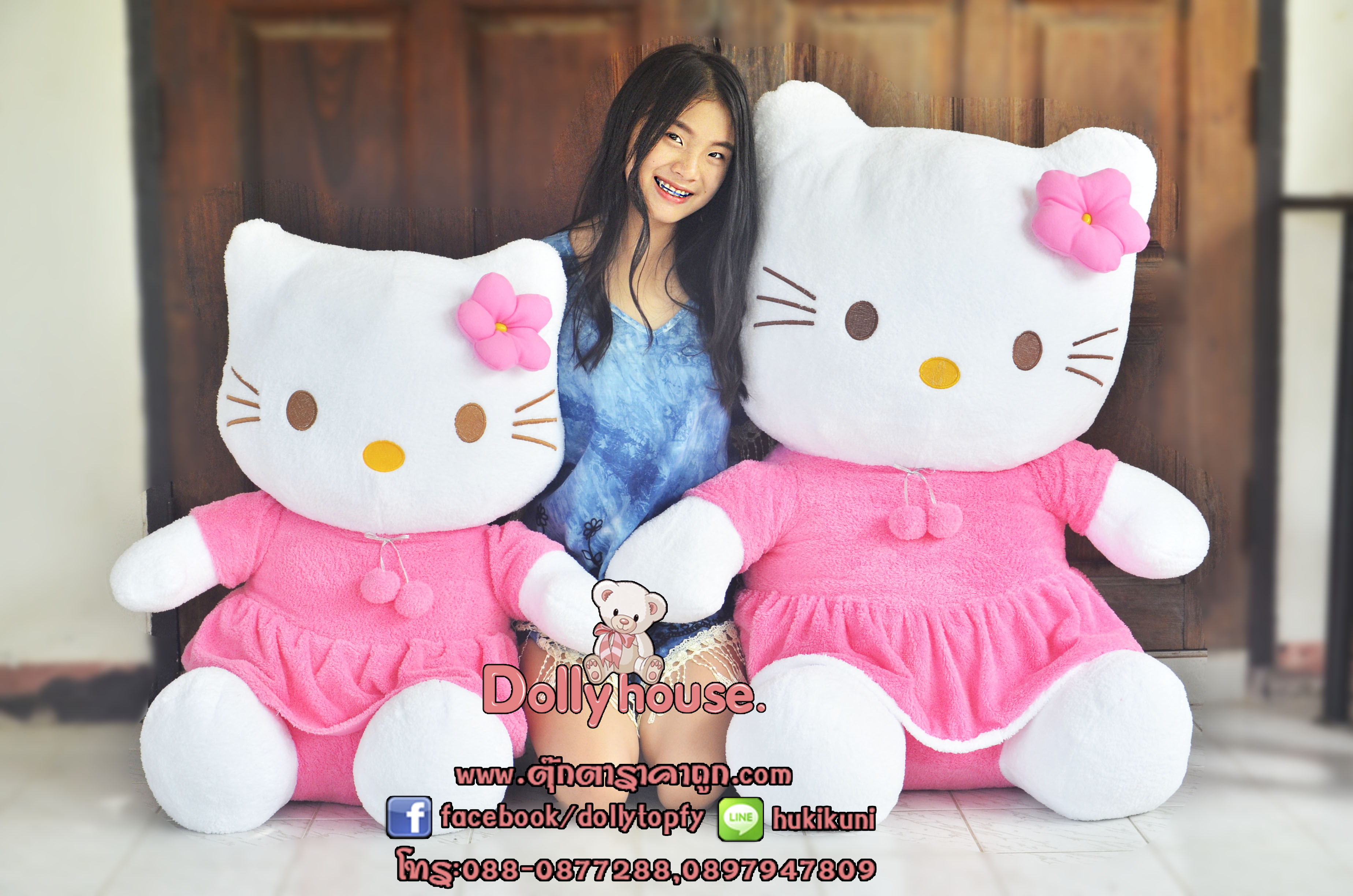 doll kitty